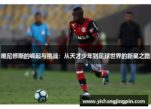 维尼修斯的崛起与挑战：从天才少年到足球世界的新星之路